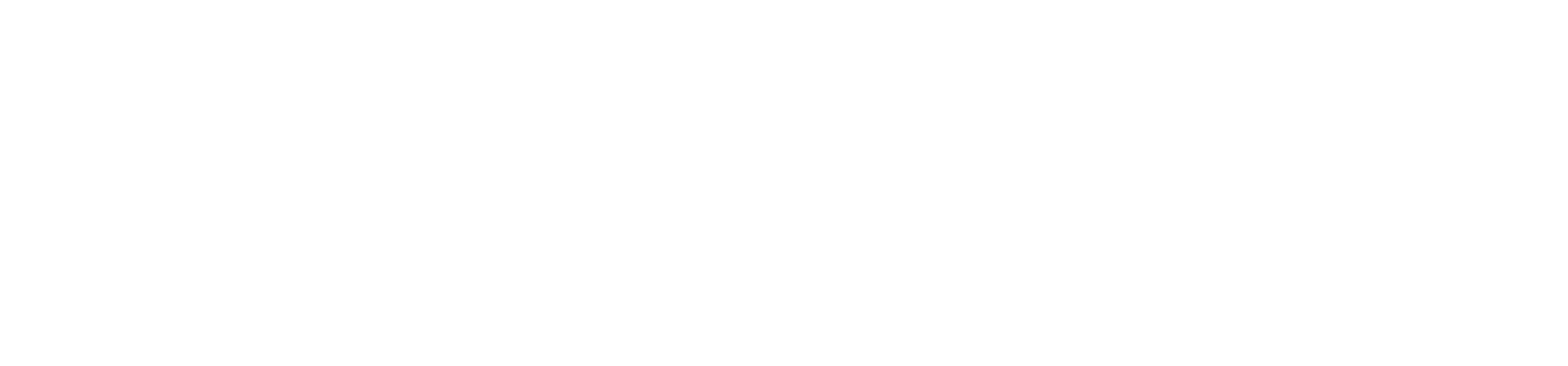 RapidAction.ai logo
